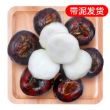 京鲜生广西荔浦马蹄 净重5斤装