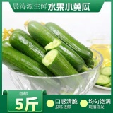 新鲜水果小黄瓜5.2斤