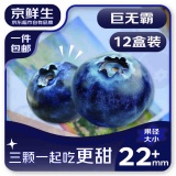 京鲜生 云南蓝莓 12盒22mm+装 125g/盒 