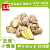 宝菜 正宗云南小黄姜4.8-5.3斤