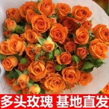 多头玫瑰10支
