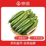 京觅 山东荷兰水果黄瓜净重4斤