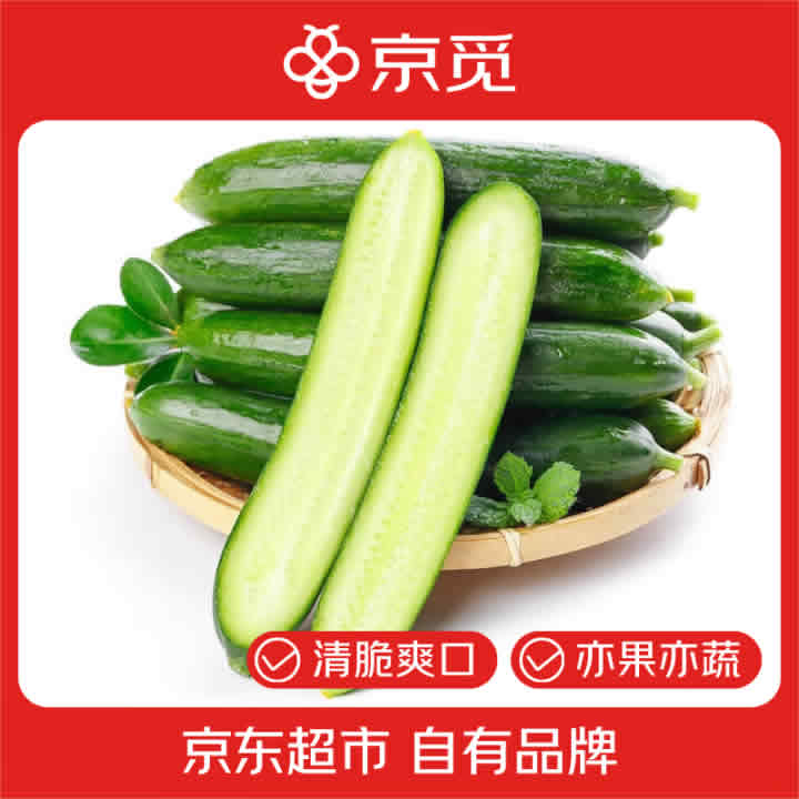 京觅 山东荷兰水果黄瓜 净重4斤 单果约80g 