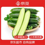 京觅 山东荷兰水果黄瓜 净重4斤 单果约80g 
