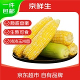 京鲜生 云南水果玉米 净重5斤单果250g+ 