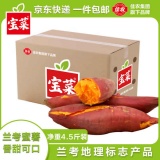  佳农宝菜 兰考蜜薯100g+净重4.5斤
