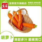 宝菜 新鲜胡萝卜净重8.8-9.1斤