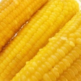 辰旭稼禾 东北玉米10根 220-260g /根