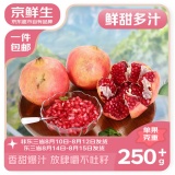  京鲜生 会理突尼斯软籽石榴净重4.5斤单果250-350g