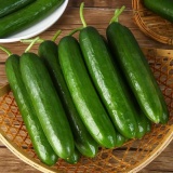 京鲜生 山东水果黄瓜 净重3斤 单果90g+ 